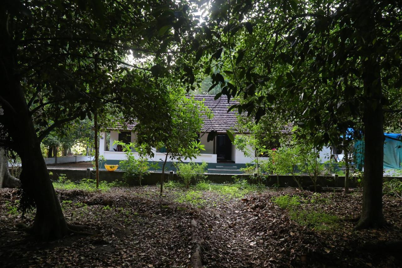 The Mana-Heritage Stay - Chengazhimattam Mana Kottajam Kültér fotó